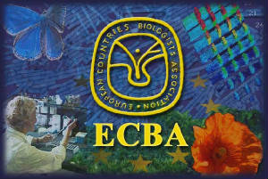 ecba.jpg