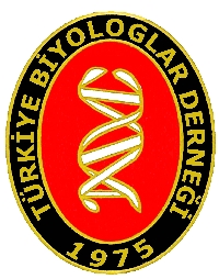 tttb11d11.jpg